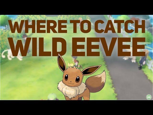 Where to Catch Wild EEVEE in Pokemon Let's GO!