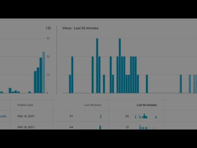 How to View Real Time Live Auto Updating 60 Minutes / 48 Hours YouTube Analytics