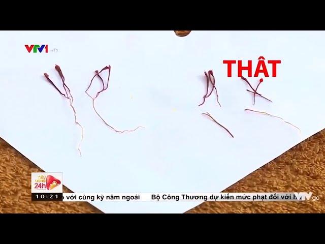 VTV1 Cảnh báo Saffron Nhụy hoa nghệ tây giả | Cách phân biệt Saffron thật giả