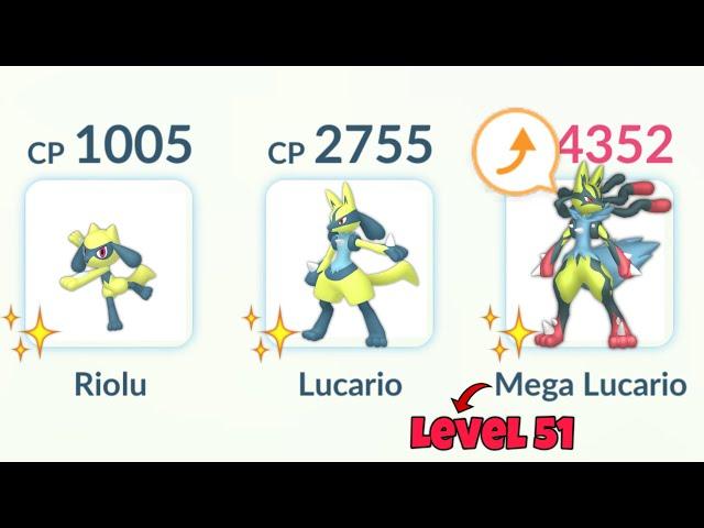 LeveL 51 SHINY *MEGA LUCARIO* Evolution Line Only challenge in Pokemon GO.