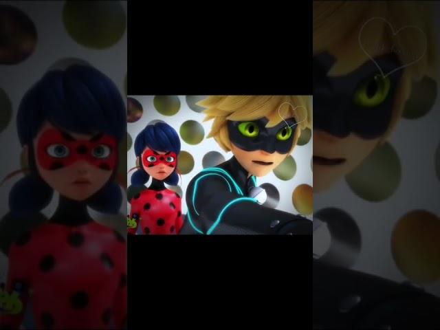 Are we too young for this? | Miraculous Lady bug | Леди баг и Супер Кот