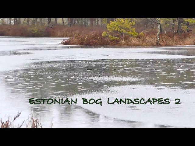 Estonian bog landscapes 2 (drone video).