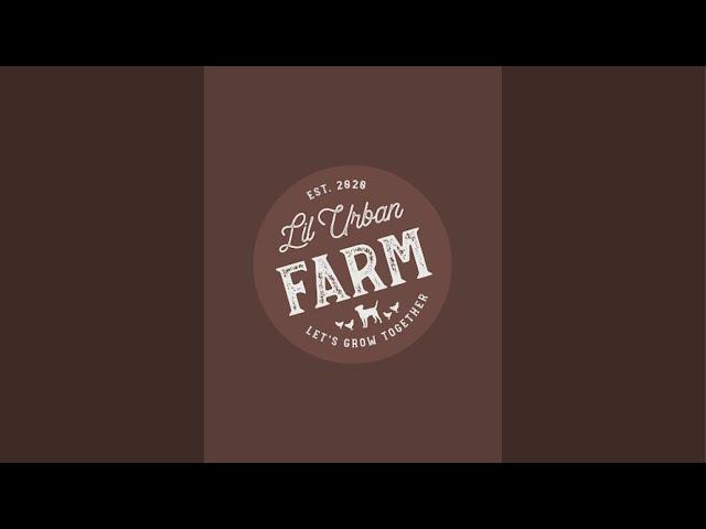 Lil Urban Farm is live!