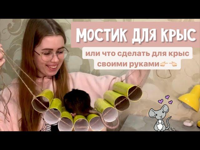 DIY: ЧТО СДЕЛАТЬ ДЛЯ КРЫС СВОИМИ РУКАМИ | ДЕЛАЕМ МОСТИК ДЛЯ КРЫС 