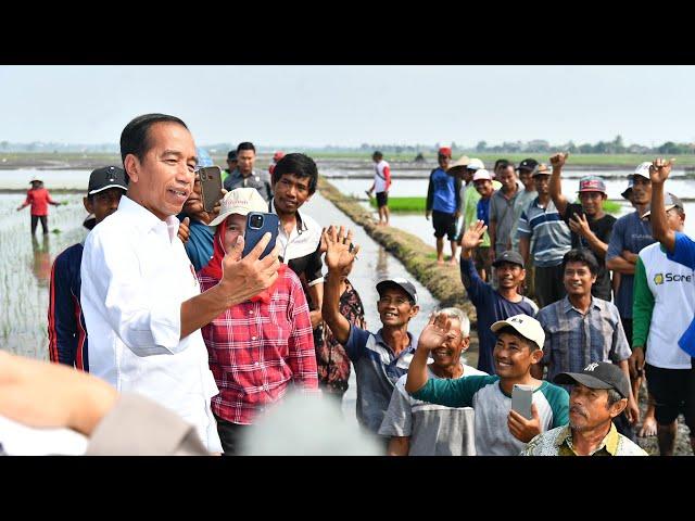 Presiden Jokowi Tinjau Pompanisasi di Lampung Selatan, 11 Juli 2024