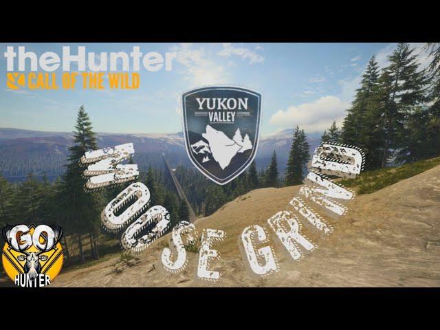 Moose GO Grind | TheHunter Call Of The Wild | Yukon!!