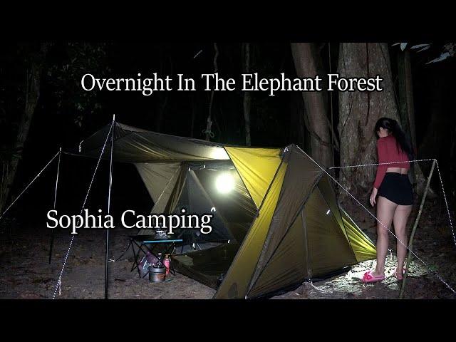 Alone Girl Camping In The Elephant Forest - sophia Adventures