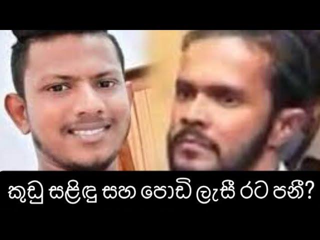 කුඩු සළිඳු සහ පොඩි ලැසී රට පනී? Podi lesi | Kudu Salindu