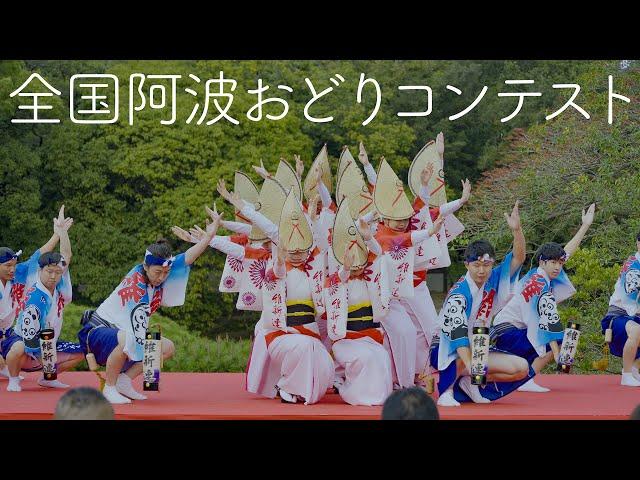 National Awaodori Contest: A Stunning Performance in a Japanese Garden | Awaodori in Tokushima Japan