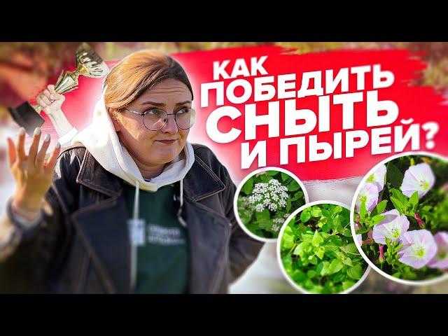 КАК УБРАТЬ СОРНЯКИ НАВСЕГДА?! Мокрицу, сныть, вьюн, портулак и другие