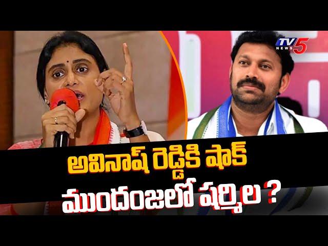 BIG Shock to YS Avinash Reddy | Kadapa Election Result | YS Sharmila | Tv5 News