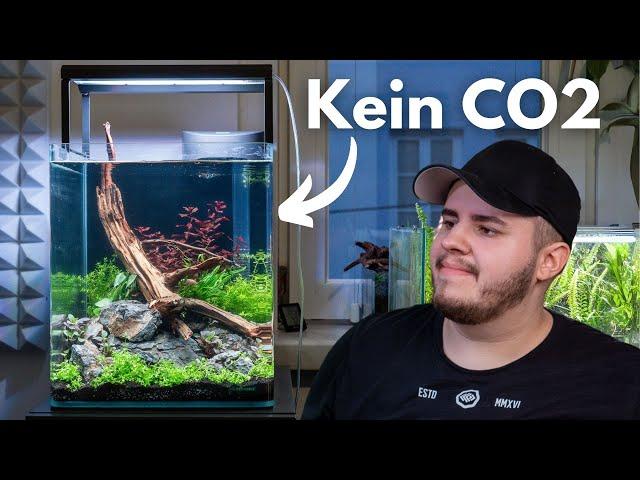 Aquascaping Tutorial: 30L Dennerle Nano Cube einrichten!