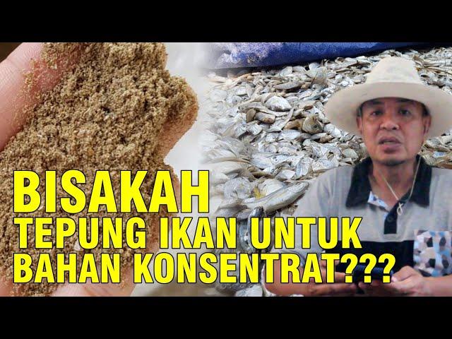 Tepung Ikan Pakan Ternak Sapi Sebagai Sumber Protein