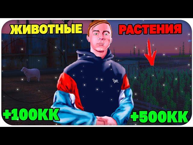 КУПИЛ ЛИЧНУЮ ФЕРМУ! СКОЛЬКО МОЖНО ЗАРАБОТАТЬ НА ЛИЧНОЙ ФЕРМЕ НА NAMALSK RP