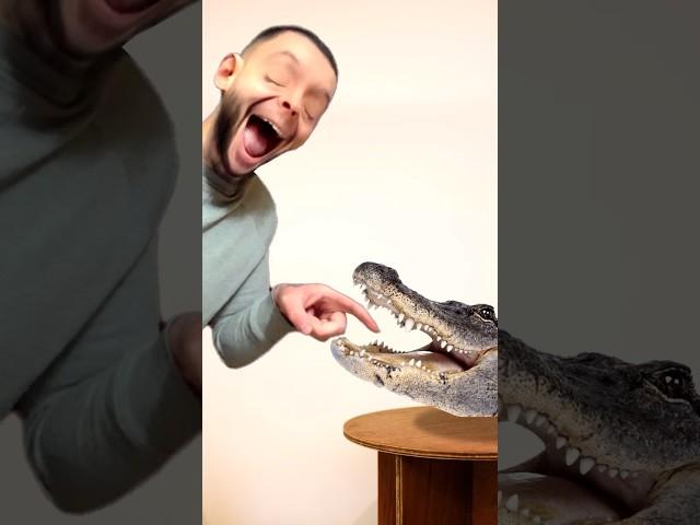 Tom sings dentist for crocodile