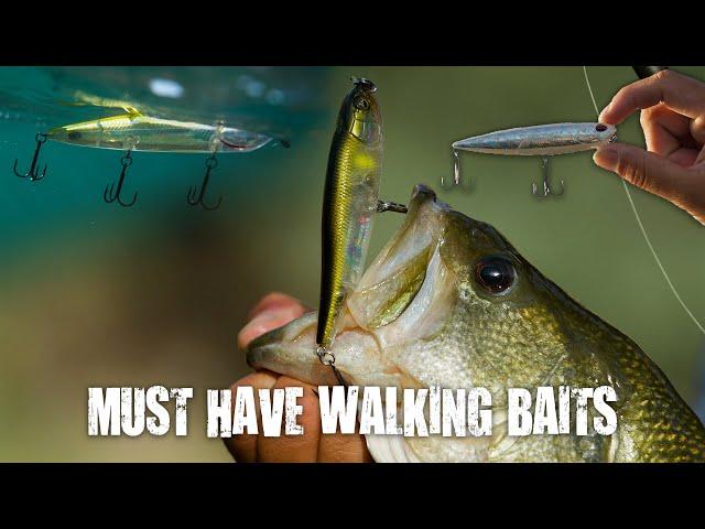 3 Japanese Walking Baits We Can't Leave Home Without!! Our Go To Walking Baits!