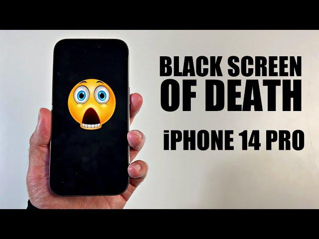 How to Fix Black Screen of Death on iPhone 14 Pro?