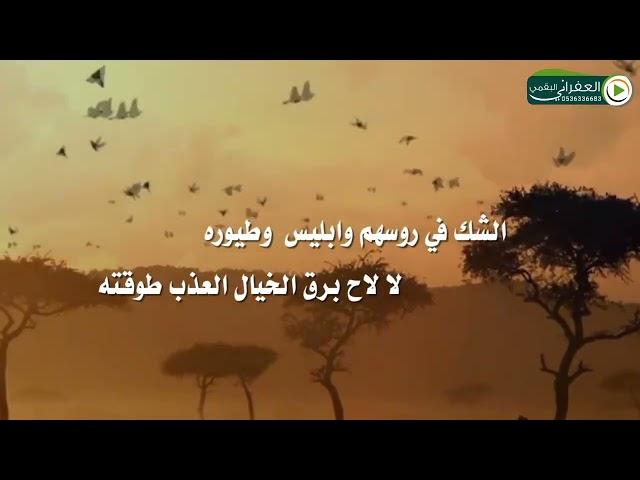 شيلة قريحة الشعر كلمات محمد حمد الغيداني أداء مشعل الروقي تصميم العفراني البقمي