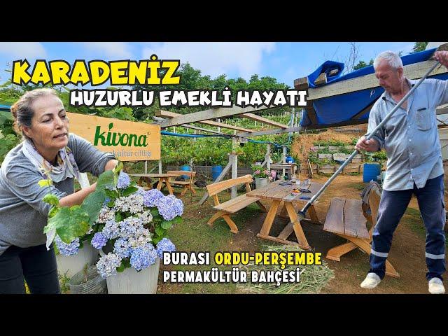 Retired couple; EARN MONEY AND LIVE PEACEFULLY by selling grapes and turkey in their village!