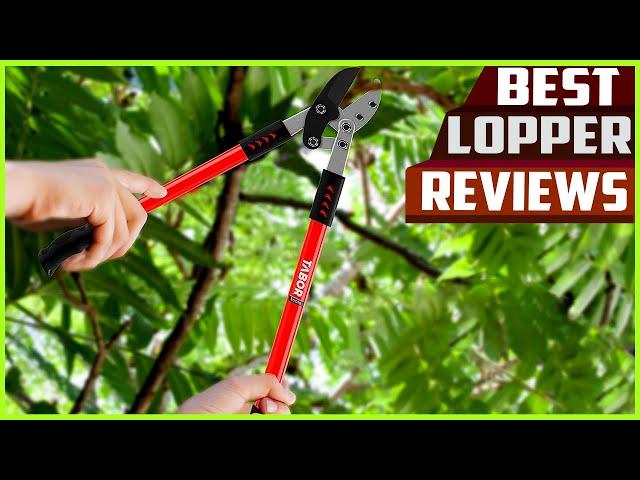 Best Loppers - You Can Buy