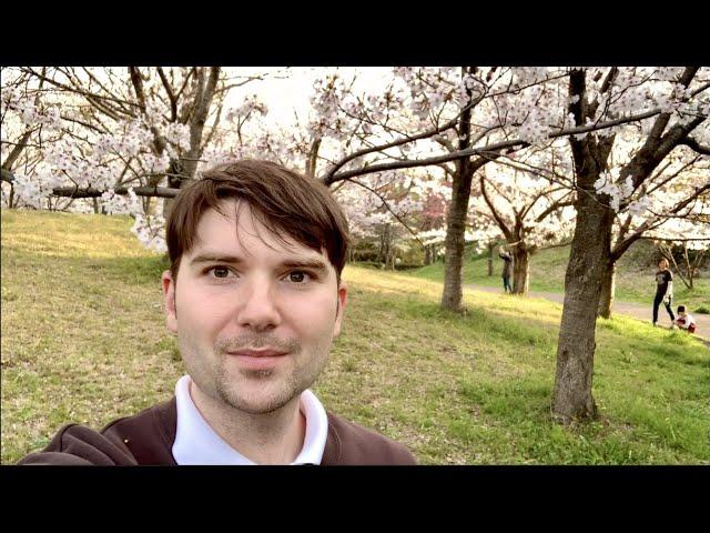 Japan | Sakura blüht in voller Pracht!