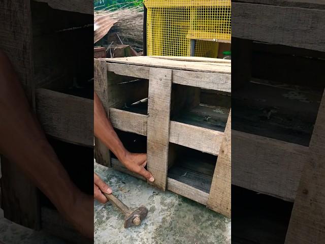  how to make pigeon house || NT Pigeons Youtube 2024 new video