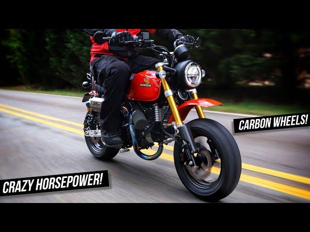 New Honda Monkey 125 Custom Build! 30+ Horsepower, BST Carbon Wheels + More! | Retro Z50 Tribute