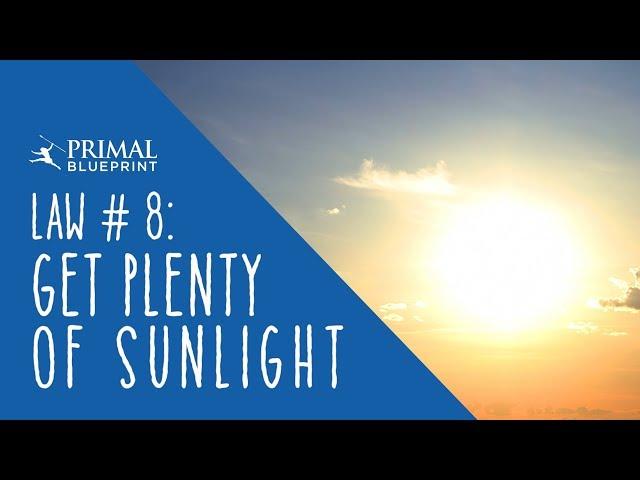 PB Law #8: Get Plenty of Sunlight