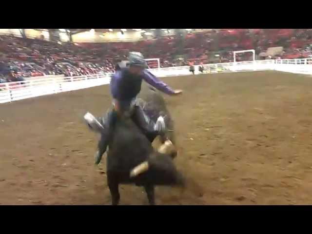 Calgary Stampede's 868  Everything Cowboy at the 2013 Aggie Days Rodeo