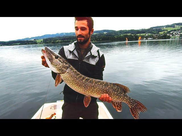 Summer Pike Action - #iCatchFish