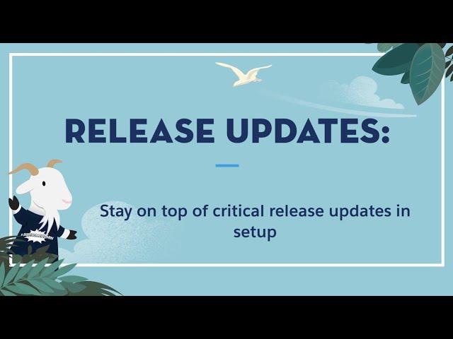 How Salesforce Administrators Can Stay On Top of Critical Release Updates - Salesforce Summer '20