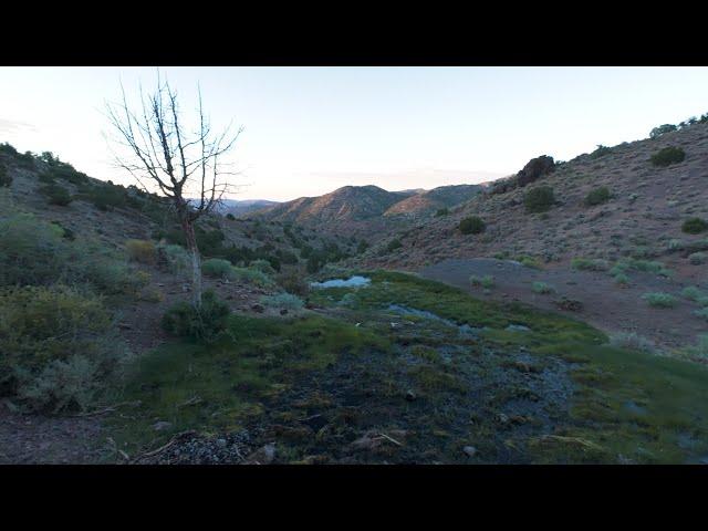 I Found FRESH SPRING WATER in Abandoned Mine Tunnel!