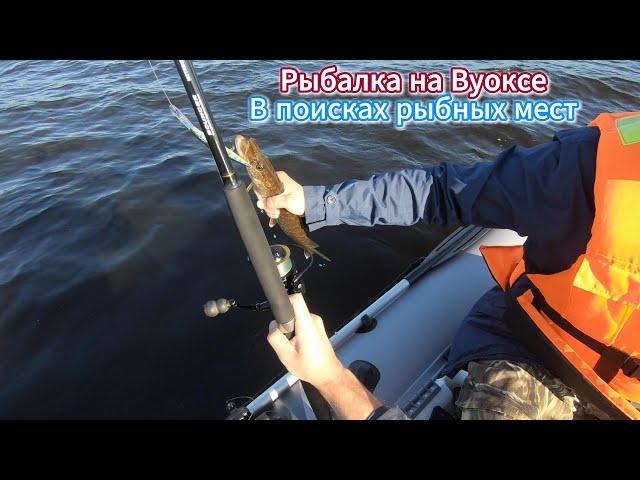 Рыбалка на Вуоксе 2024. В поисках рыбных мест ️/ Fishing on Vuoksa 2024️ #shorts #fishing #рыбалка