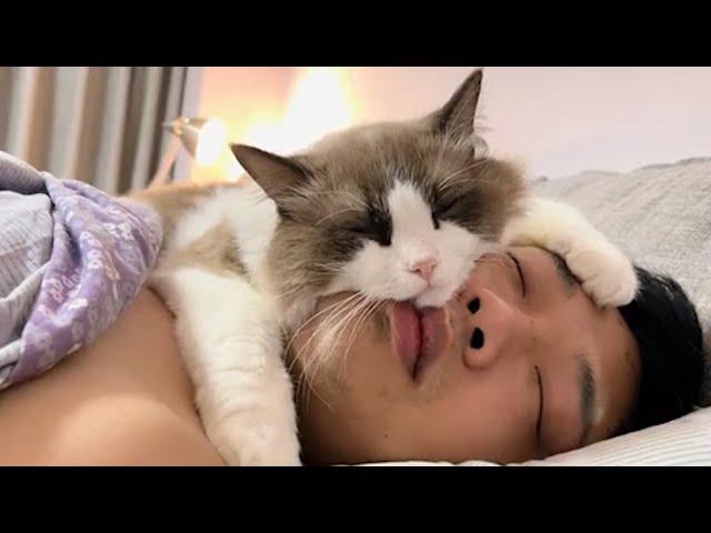 Purring is the best sound to put to sleep!  - Cute Cats Sleep With Owner