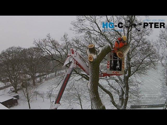 Garten- und Landschaftsbau Schulte "Baumfällung" mit DJI Phantom 2 Vision +