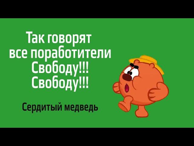 Футаж. Медведь из смешариков требует свободу/ на зеленом фоне