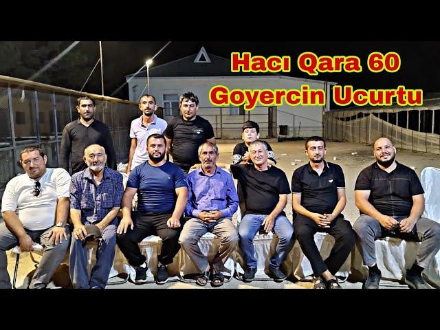 Hacı Qara Emi 60 Goyercin Ucurtu 04 Avqust 2024