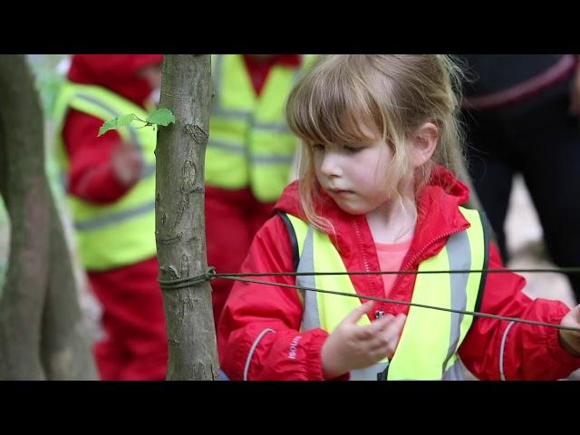 The Forest School Activities Online Training Course