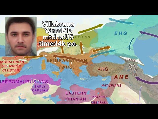 DNA result of Western Hunter Gatherer (Villabruna)