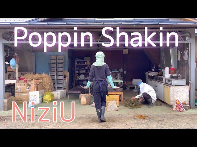 葡萄農家の娘がNiziU「Poppin Shakin」踊ってみた　 poppin shakin dance cover