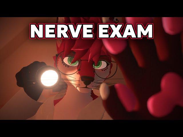 Fox does a Cranial Nerve Exam on you 🩺 (Furry ASMR)