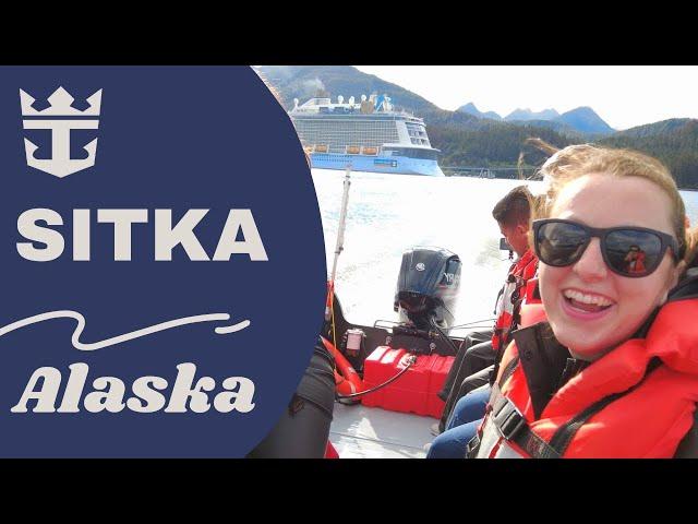 Wildlife Boat Tour in Sitka Alaska - Ovation of the Seas Vlog - Royal Caribbean Cruise to Alaska