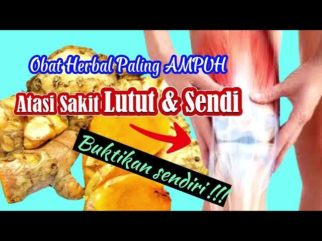 10 Obat Herbal AMPUH Atasi Sakit Lutut Dan Sendi Paling Cepat