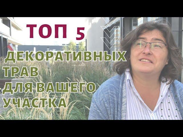 Несколько слов о травах.