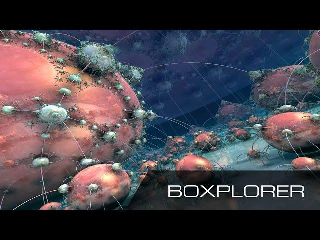 Boxplorer (procedural GPU fractals)