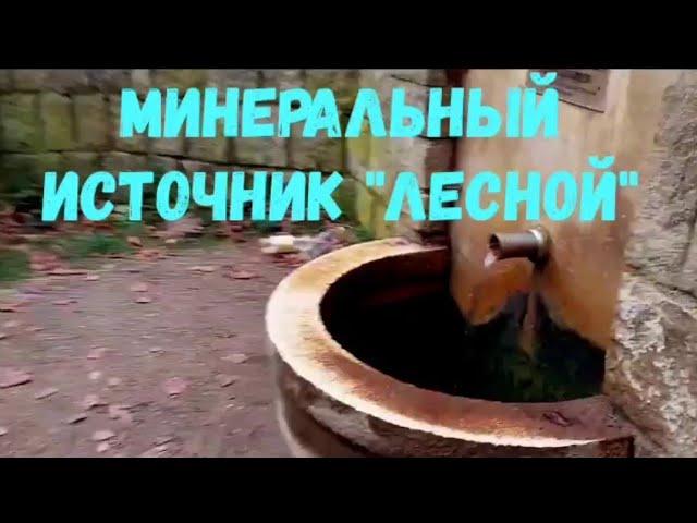 МАРИАНСКИЕ ЛАЗНИ. ПРОГУЛКА К МИНЕРАЛЬНОМУ ИСТОЧНИКУ  "ЛЕСНОЙ"