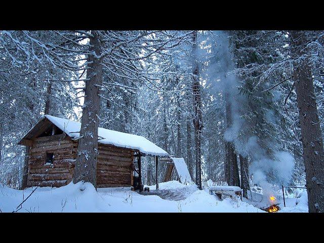 SOLO LIVING IN A LOG CABIN OFF GRID.