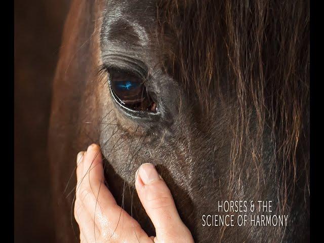 HORSES & THE SCIENCE OF HARMONY