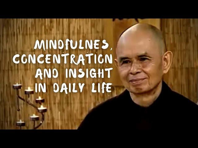 Mindfulness, Concentration, and Insight in Daily Life | Thich Nhat Hanh (short teaching)