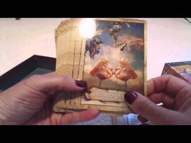 Traceyhd's Review The Enchanted Map Oracle Cards by Colette Baron-Reid